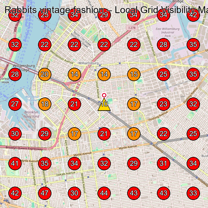 Rabbits vintage fashion GeoGrid visibility map for Vintage Clothing Store in Brooklyn